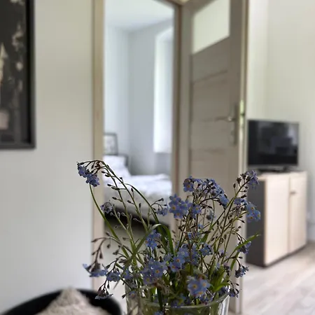 Jedlinka Appartamento *