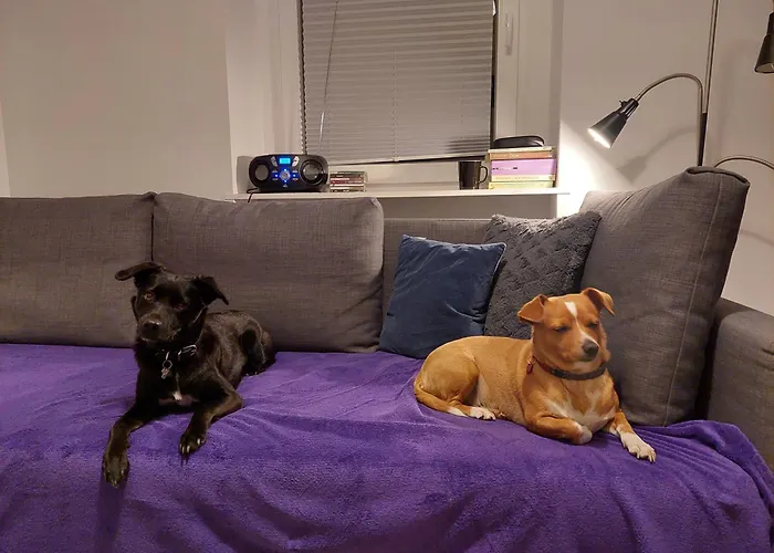 Apartamento Jedlinka Jedlina-Zdroj