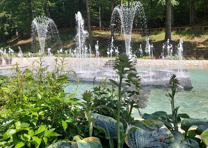 Jedlinka * Jedlina-Zdroj