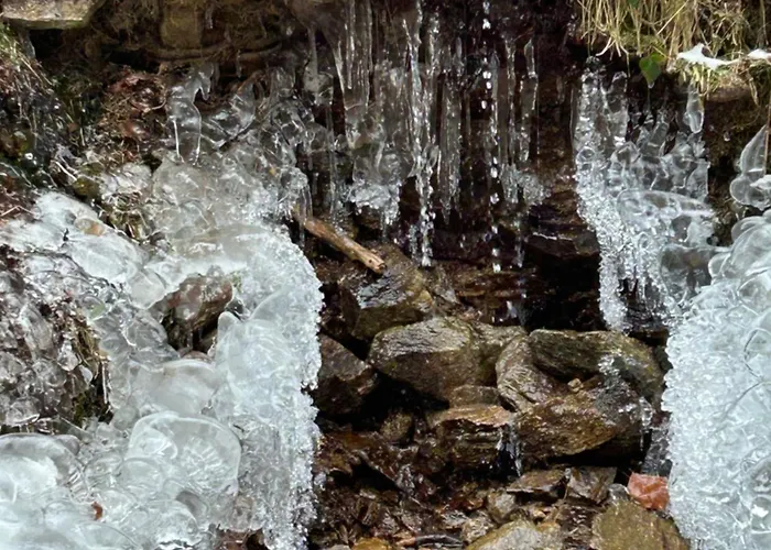 Apartamento Jedlinka *